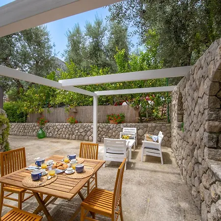 Sirenide * 马萨鲁布朗斯